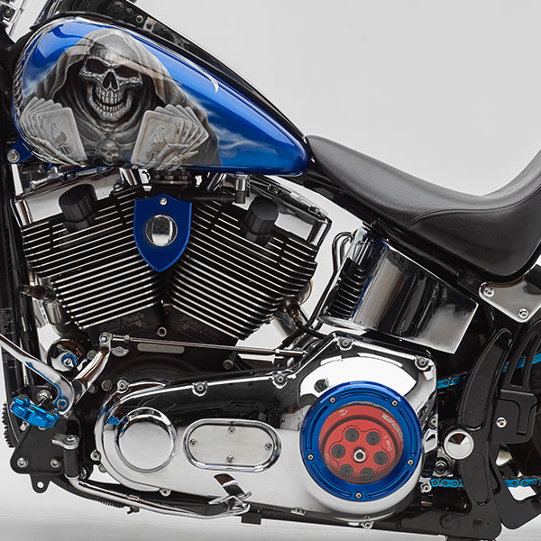 Steel Horse Harley-Davidson® Softail® Springer left view