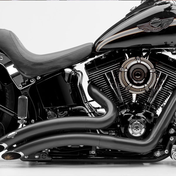 Black Ice Harley-Davidson® custom motorcycle view of engine