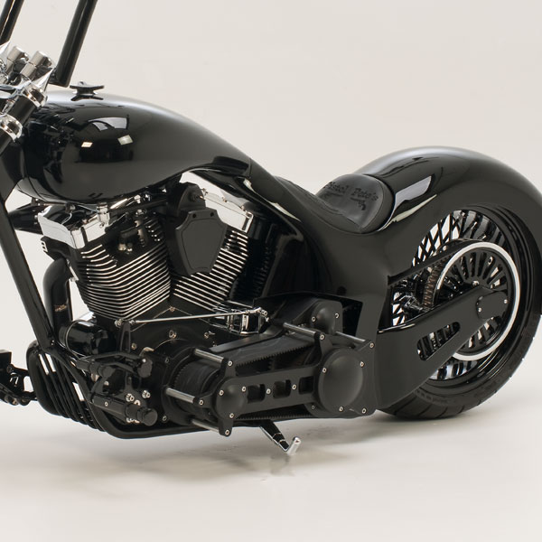 Black Sunshine Harley-Davidson® custom motorcycle left side view