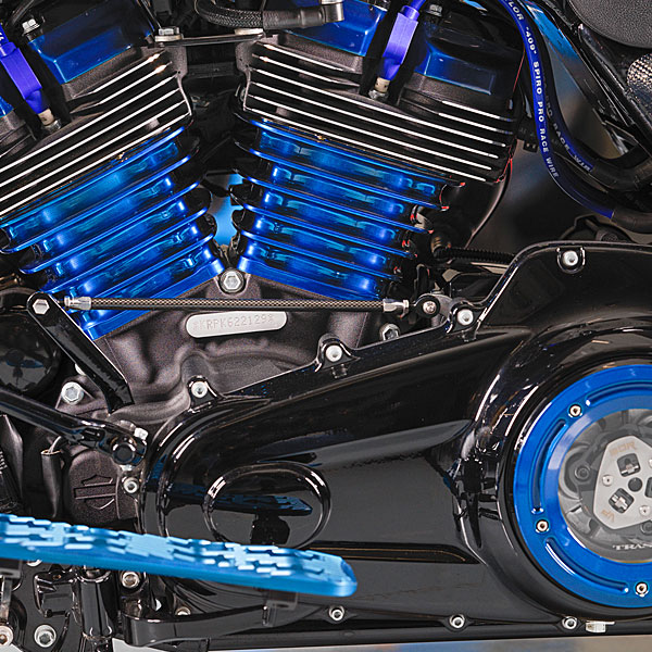 Cobra custom Harley-Davidson® Softail® motorcycle engine close up
